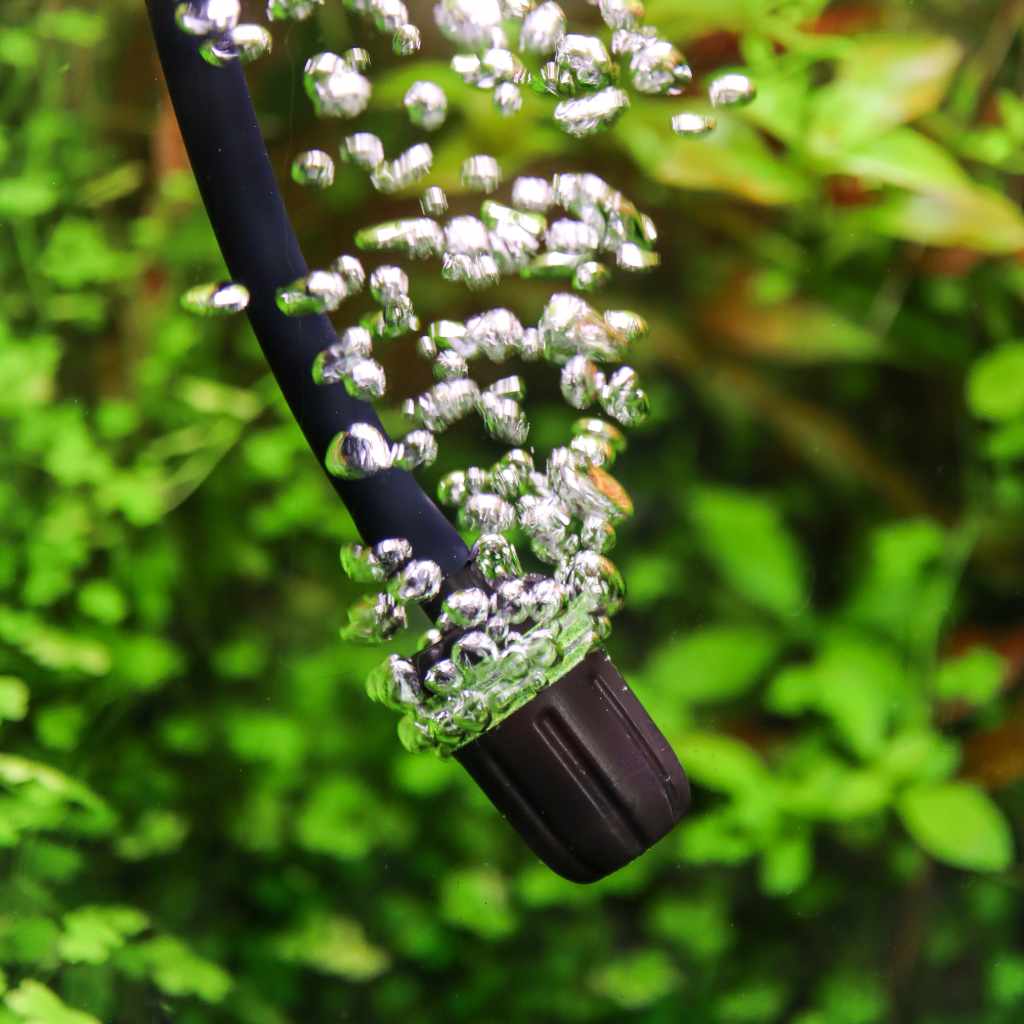 Adjustable Aquarium Air Stone for Optimal Aeration
