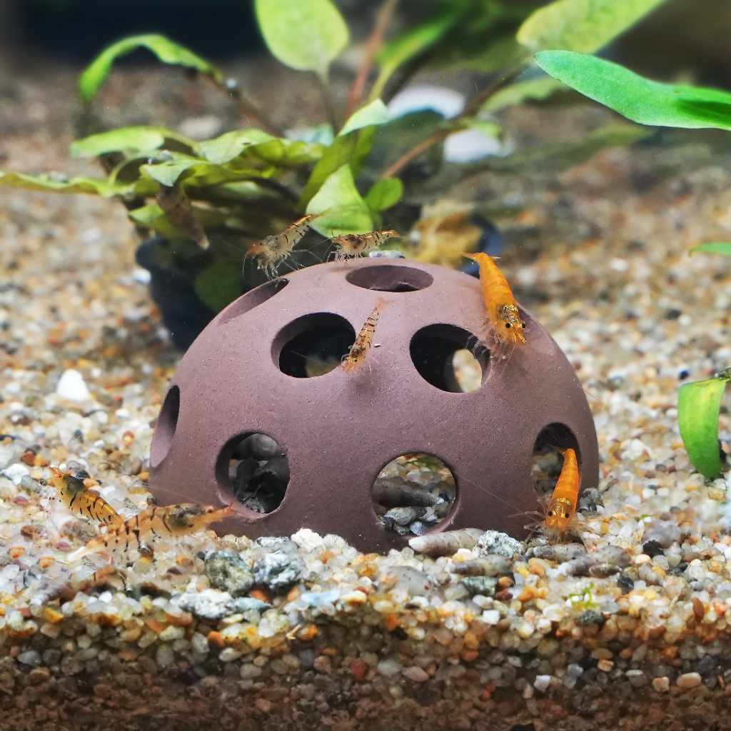Shrimp Hideout Cave for Aquariums