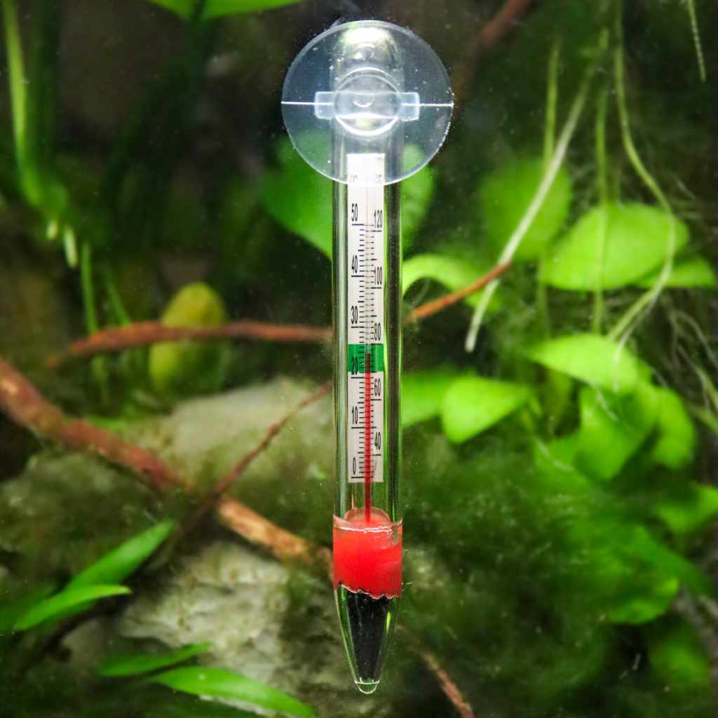 Glass Floating Thermometer for Aquariums