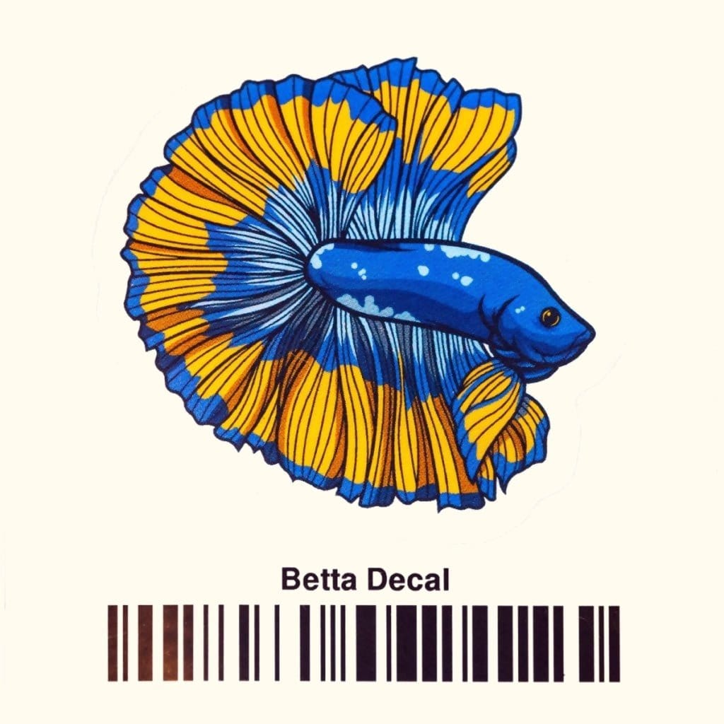 Betta Fish Sticker Decal