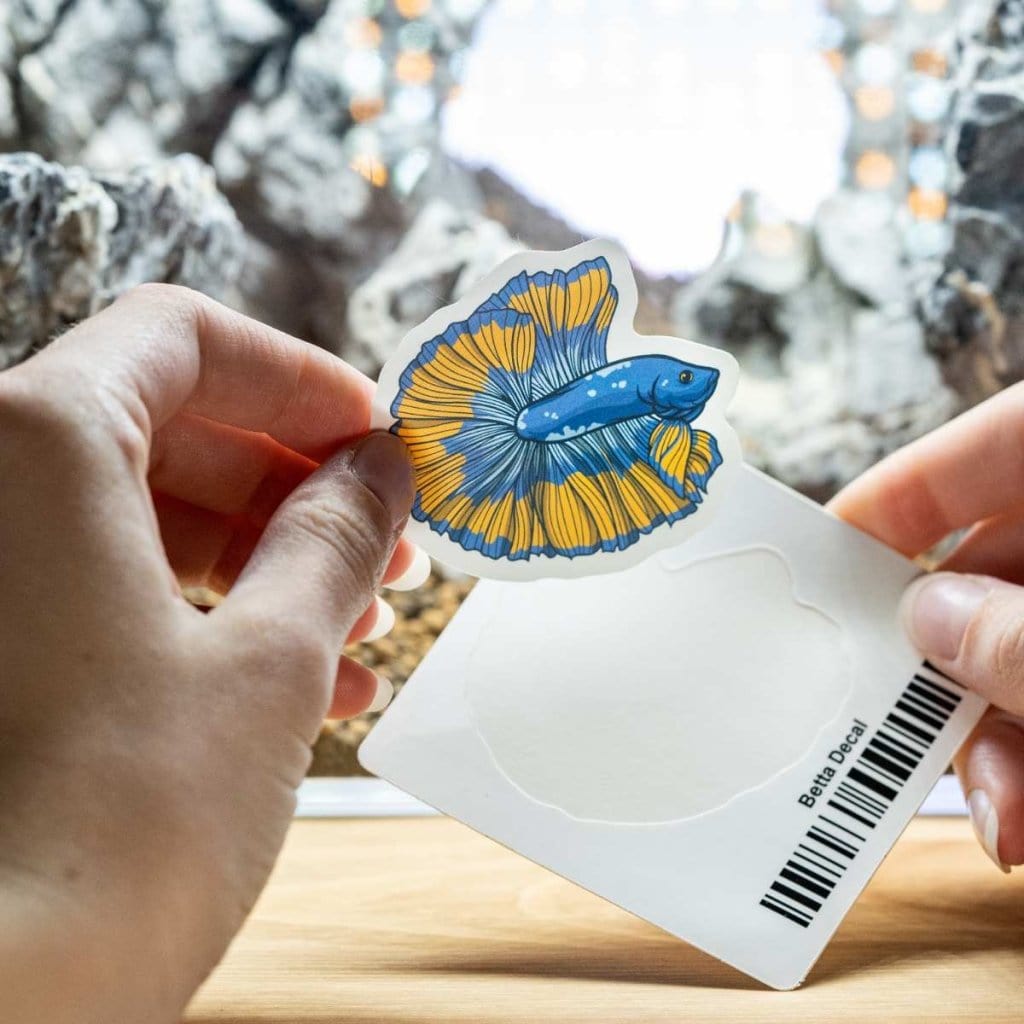 Betta Fish Sticker Decal