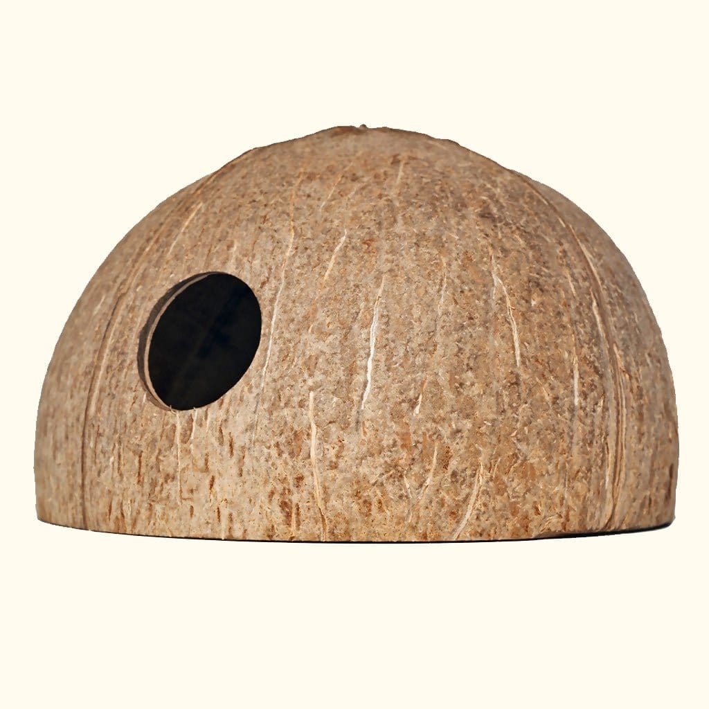 Natural Coconut Hut Decor for Home & Garden