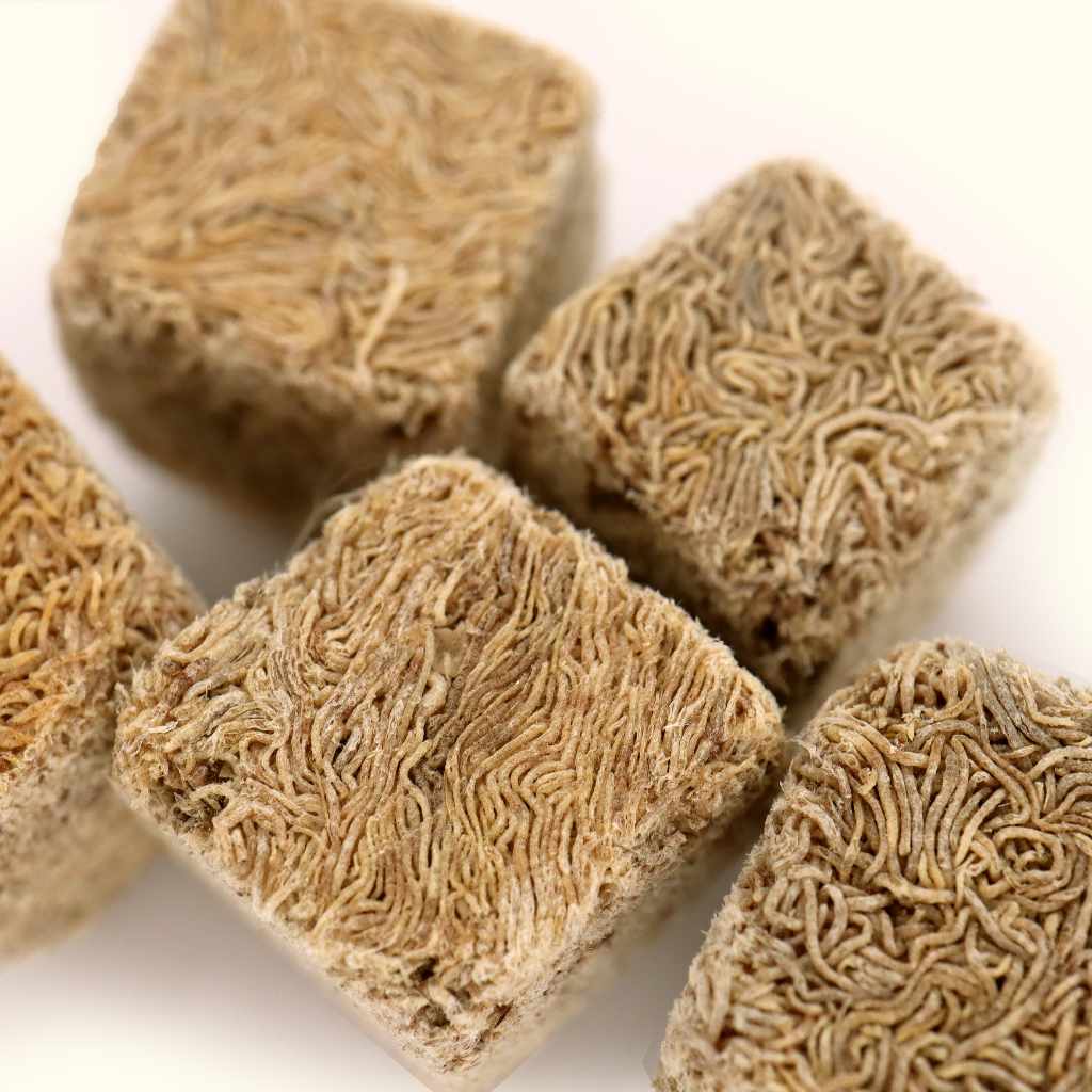 Freeze-Dried Tubifex Worms for Aquarium Fish