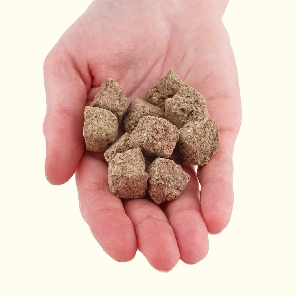 Freeze-Dried Brine Shrimp Cubes for Aquarium Fish