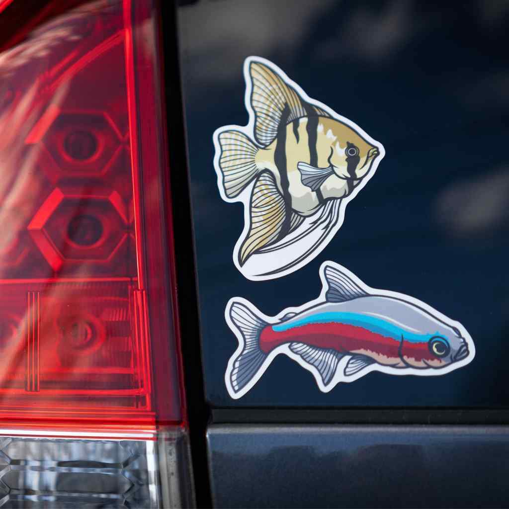 Cardinal Tetra Fish Tank Sticker Decal
