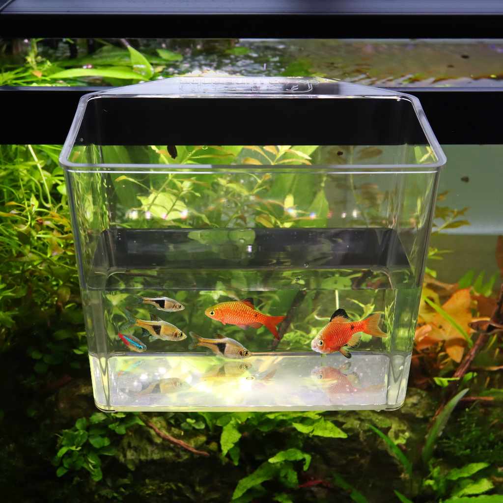 Unbreakable Aquarium Catch Cup by Co-Op