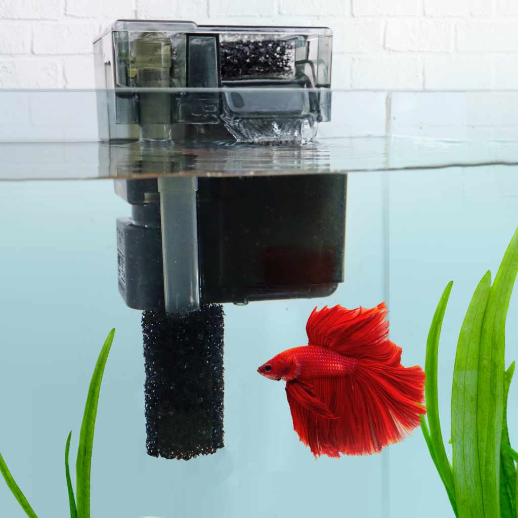 Aquarium Filter Sponge for Clean Water