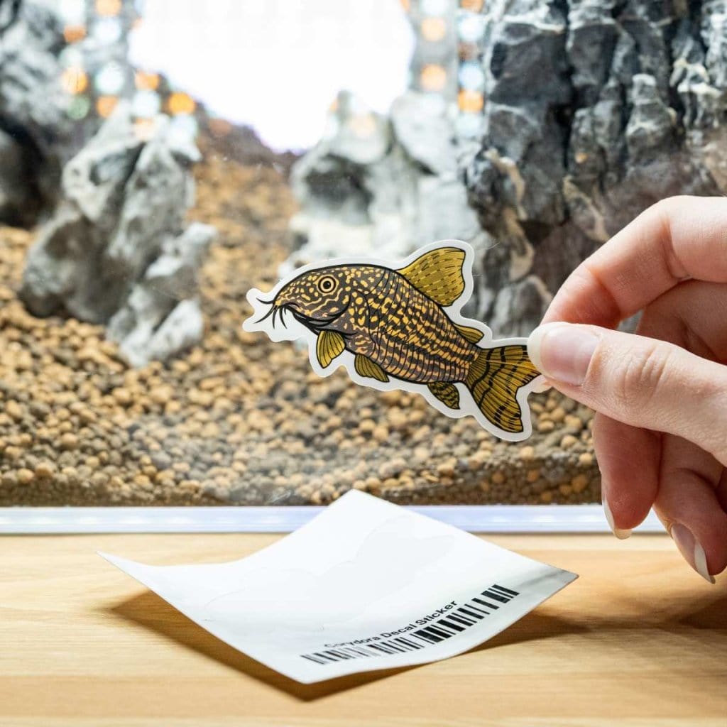 Corydoras Fish Aquarium Decal Sticker