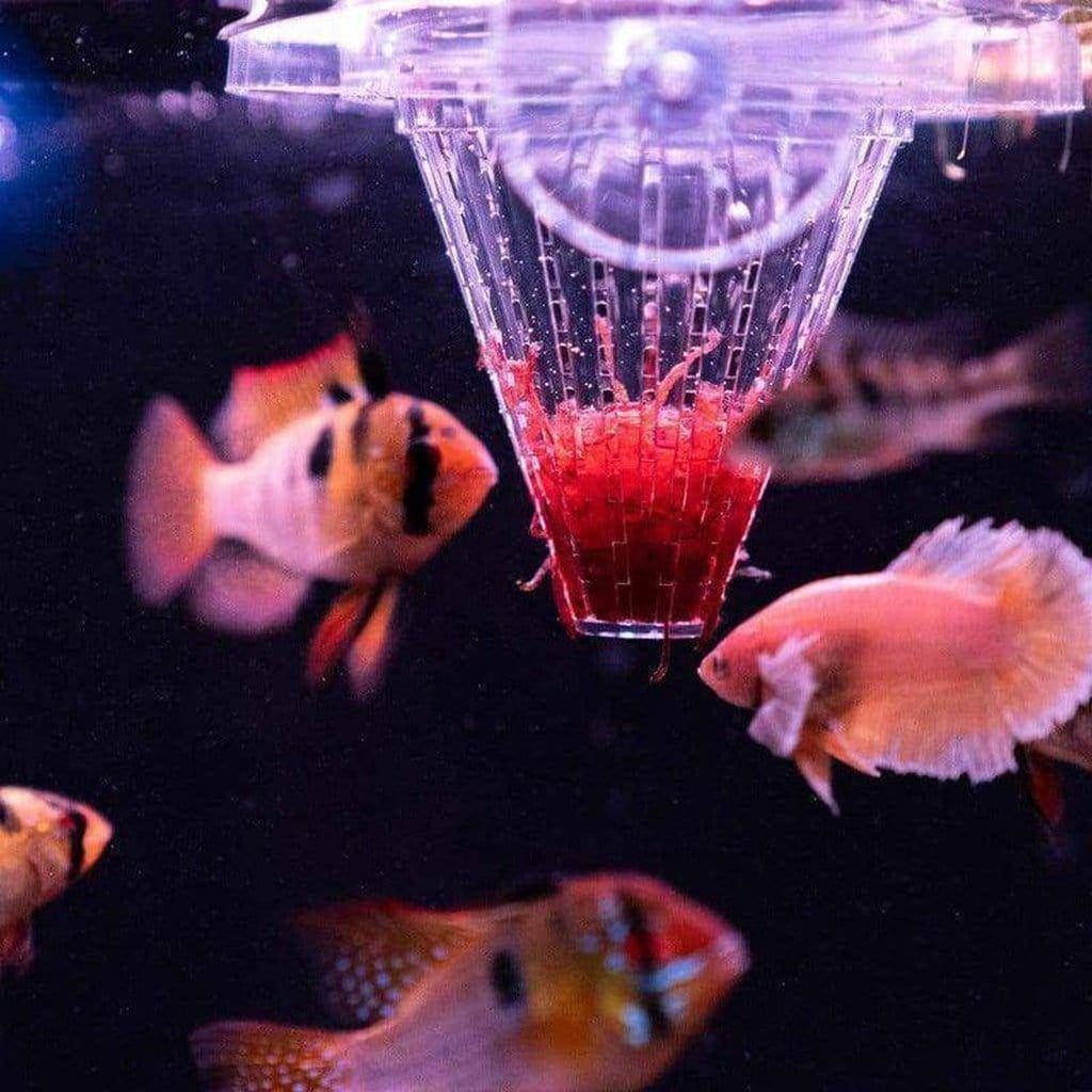 Fishing Worm Feeder Cone