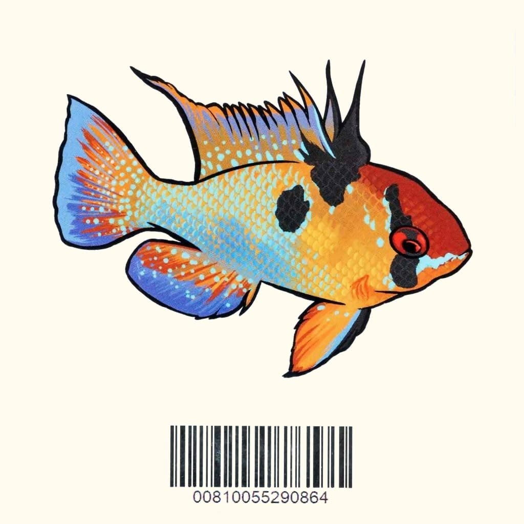 German Blue Ram Fish Sticker Decal