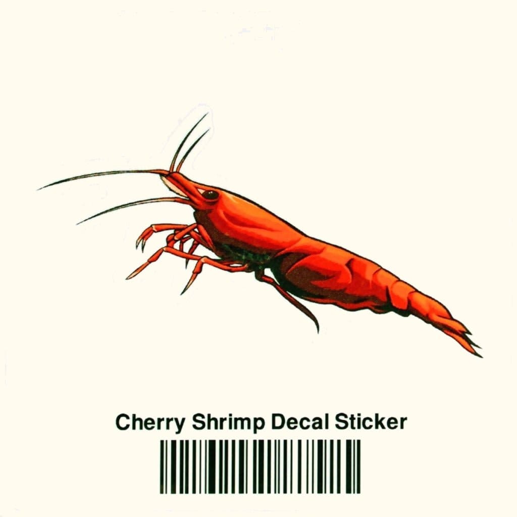 Cherry Shrimp Vinyl Sticker for Aquariums