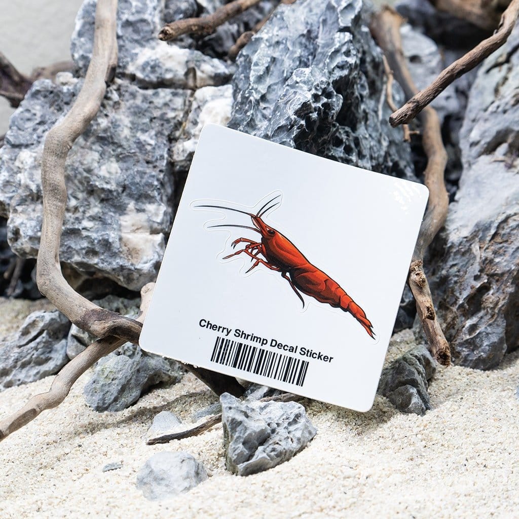 Cherry Shrimp Vinyl Sticker for Aquariums