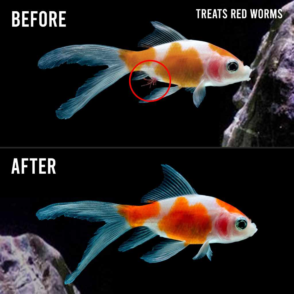 Fritz Expel-P Water Conditioner for Aquariums