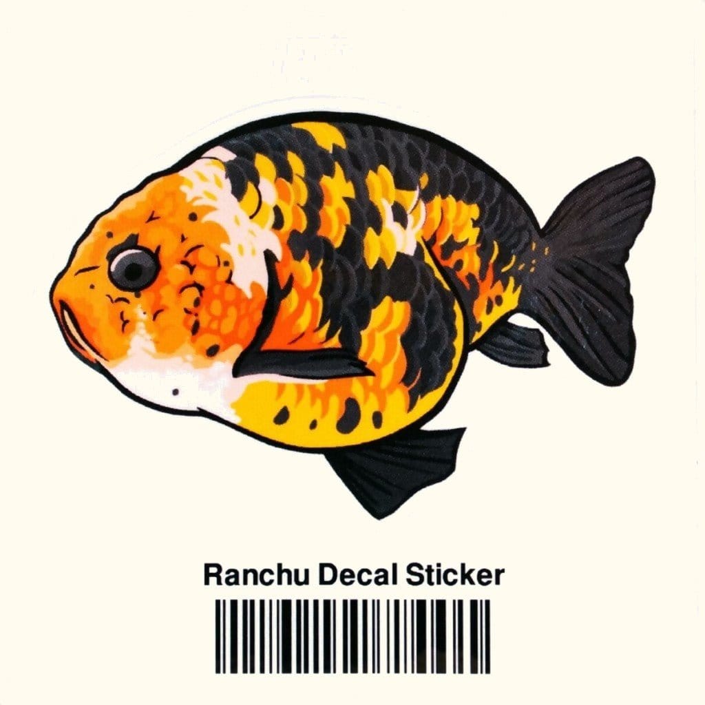 Ranchu Goldfish Vinyl Sticker Decal