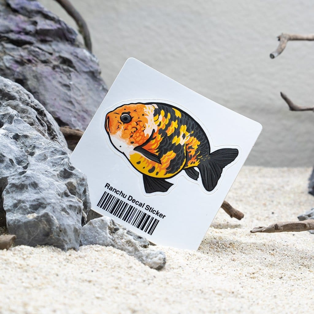 Ranchu Goldfish Vinyl Sticker Decal