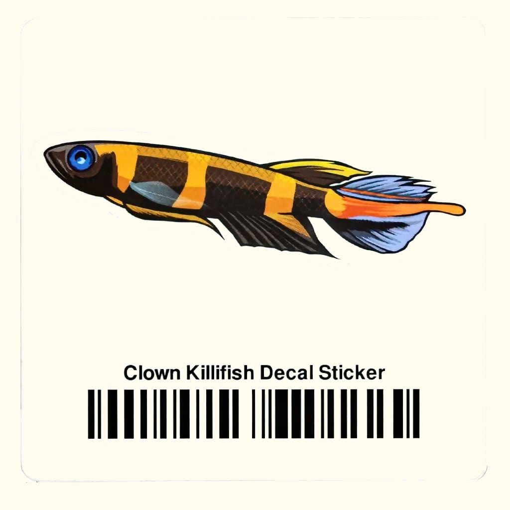 Clown Killifish Aquarium Decal Sticker