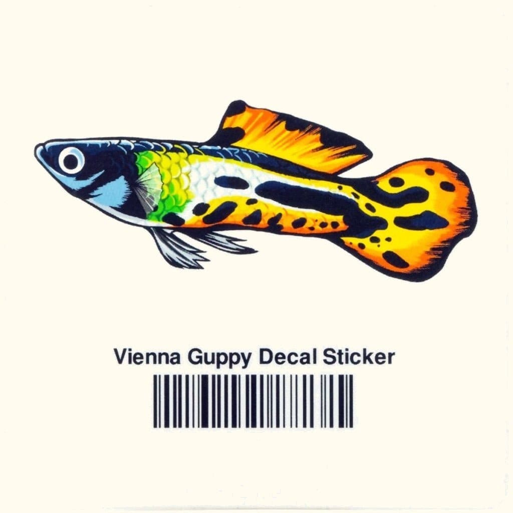 Vienna Guppy Fish Decal Sticker