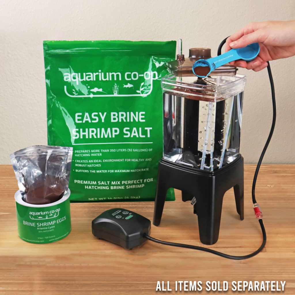 Brine Salt for Easy Shrimp Hatching