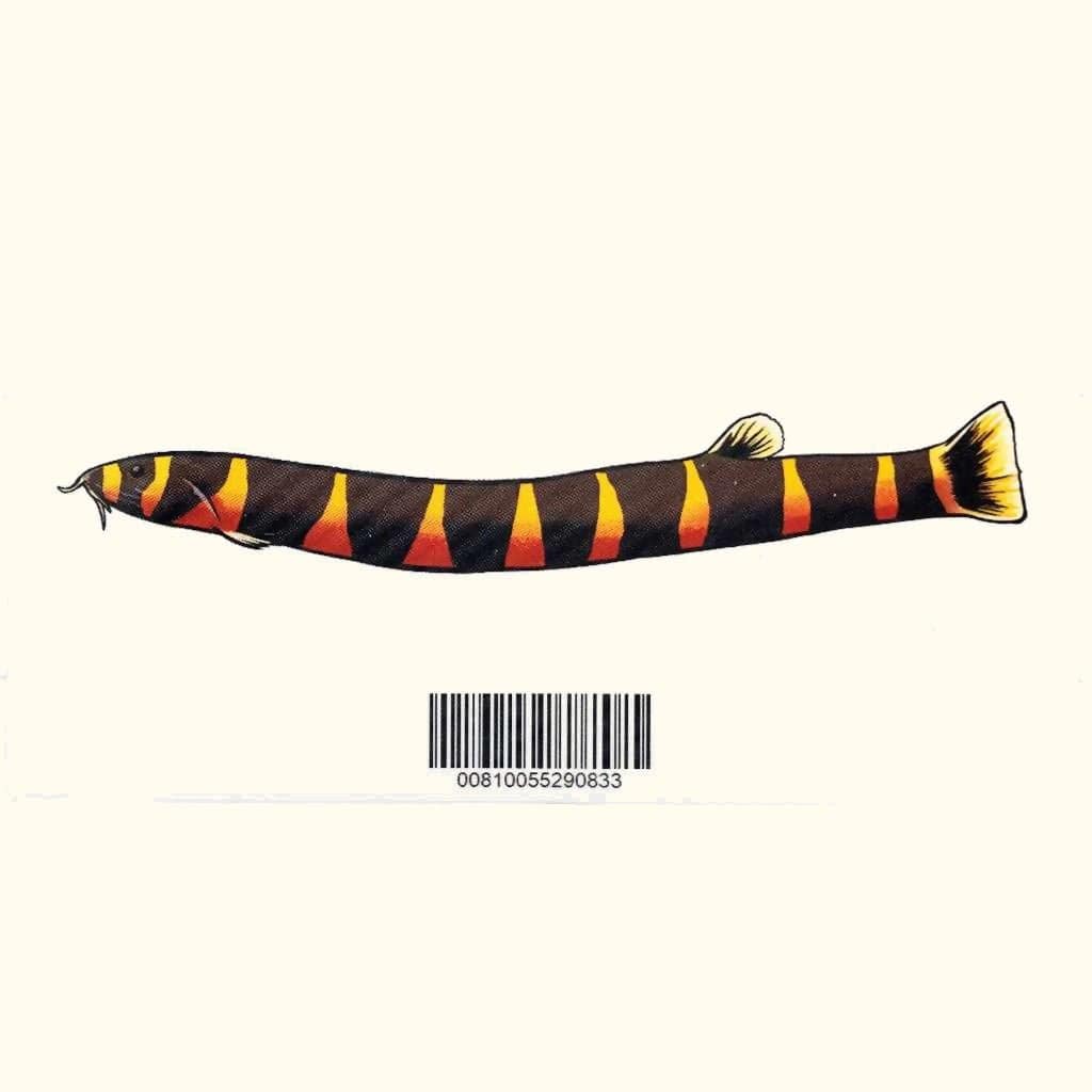 Kuhli Loach Fish Tank Sticker Decal
