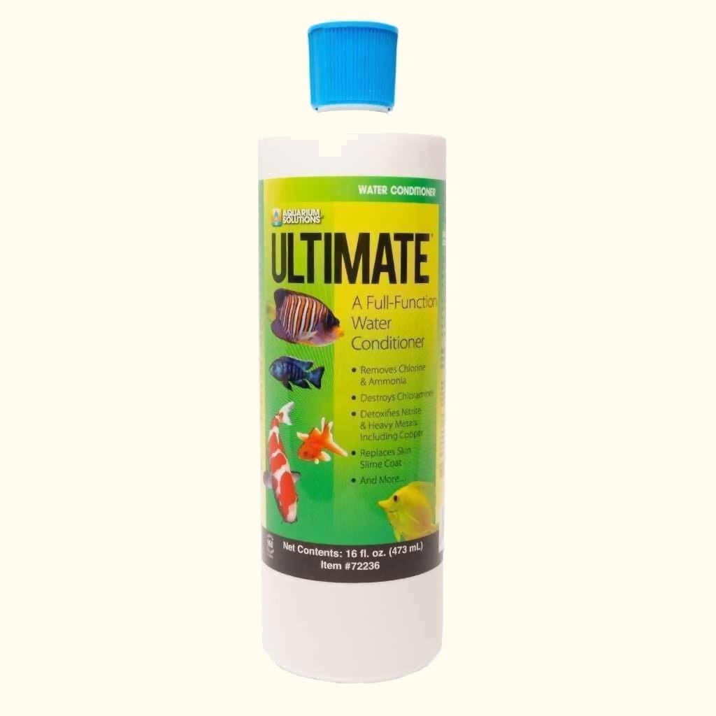 16oz Ultimate Stainless Steel Water Bottle
