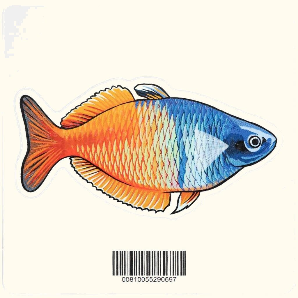 Boesemani Rainbow Fish Vinyl Sticker