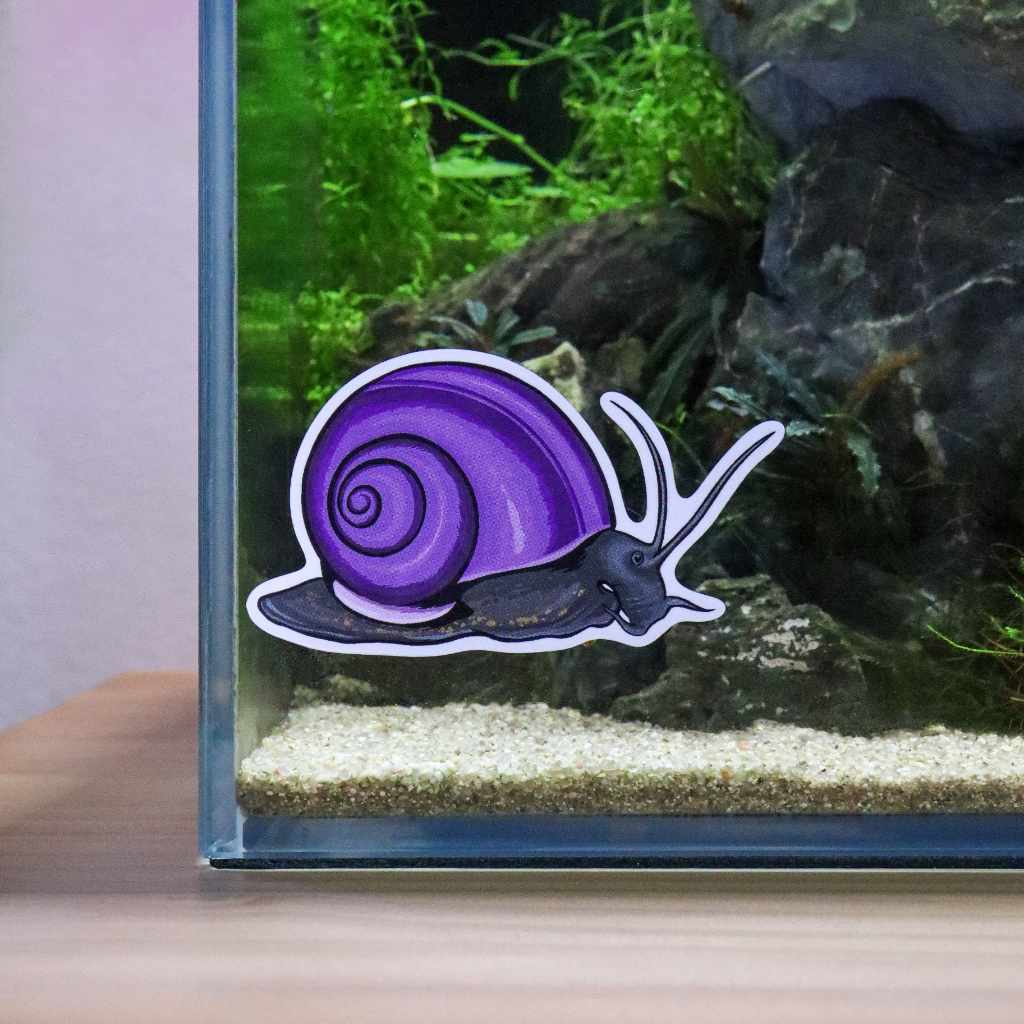 Mystery Snail Vinyl Sticker for Decor