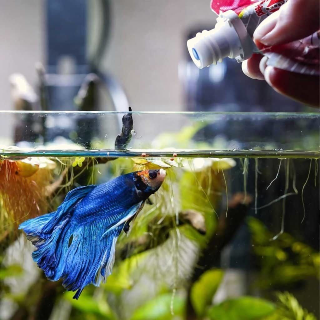 Hikari Bio Gold Betta Fish Food Pellets