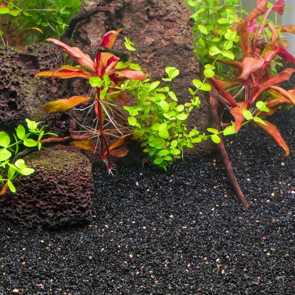 Bio-Activ Betta Gravel – 1 lb. for Healthy Aquariums