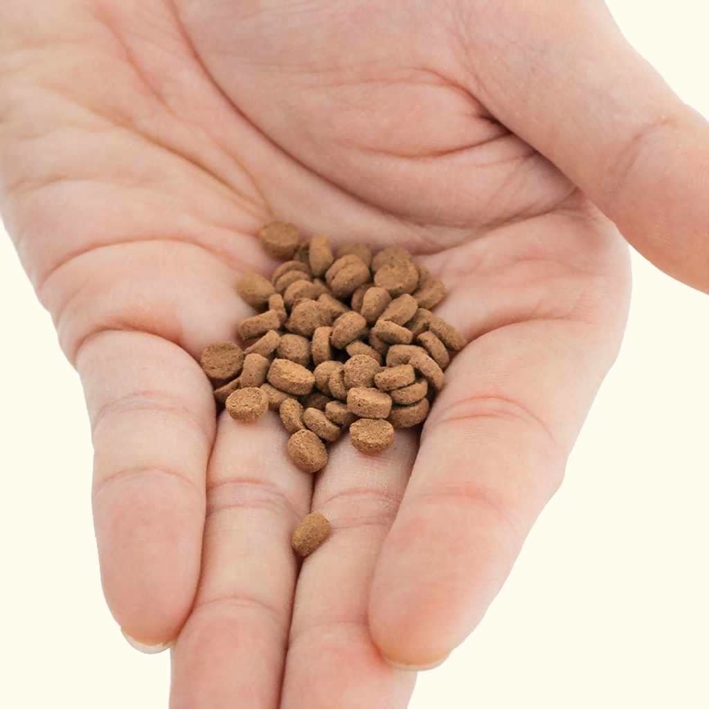 Hikari Carnivore Sinking Fish Food Pellets