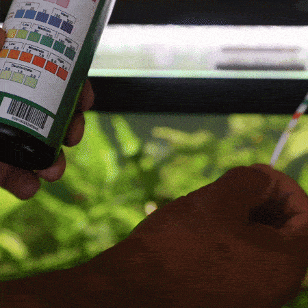 Aquarium Water Test Strips by Co-Op
