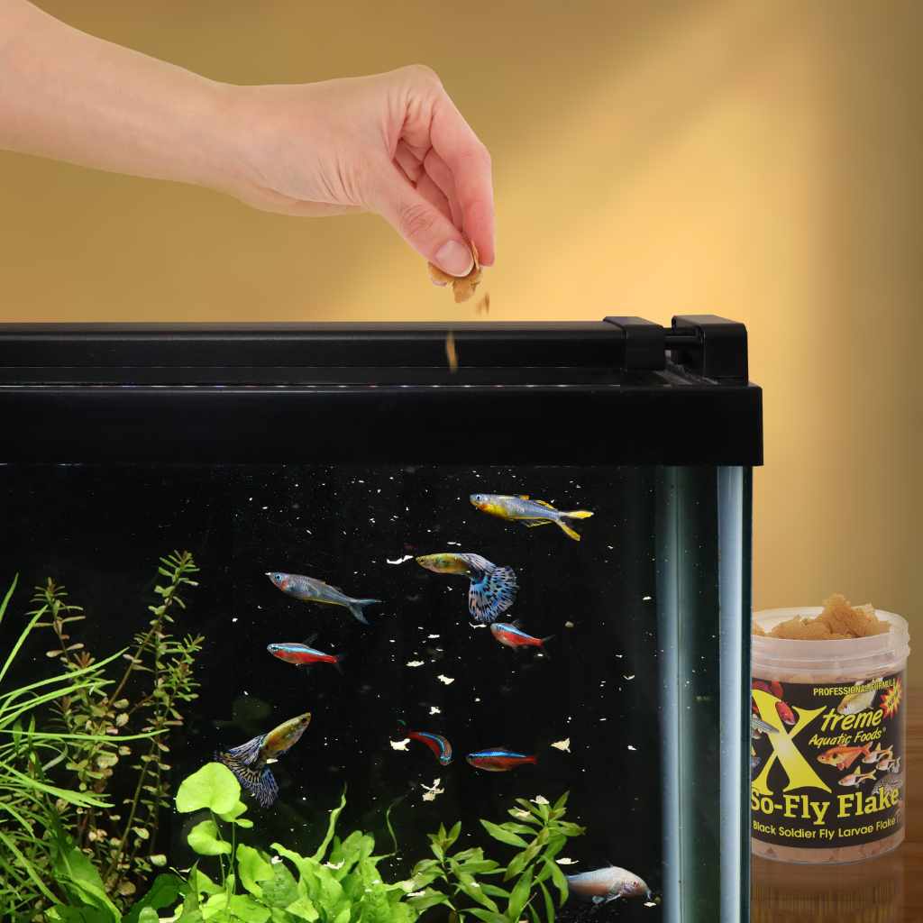 Xtreme So-Fly Soldier Fly Flakes for Pets