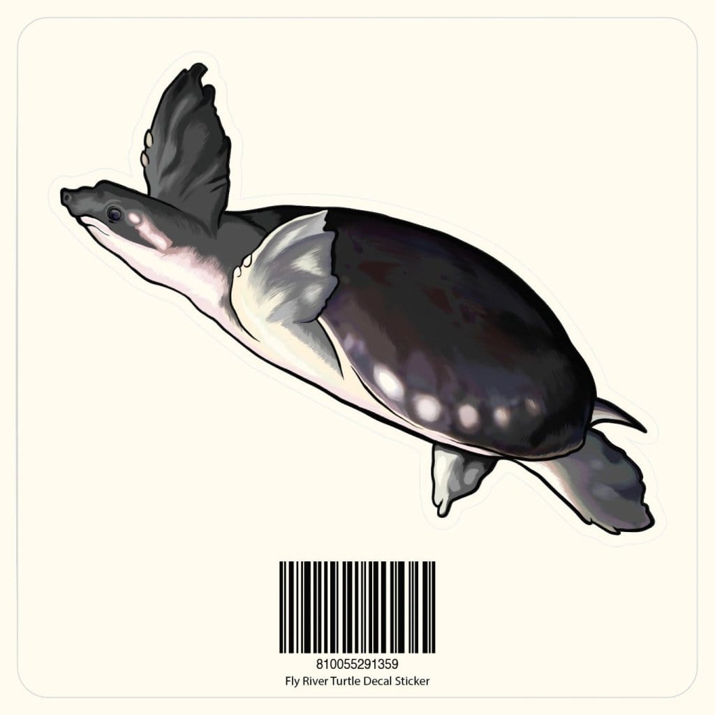 Fly River Turtle Vinyl Sticker Decal