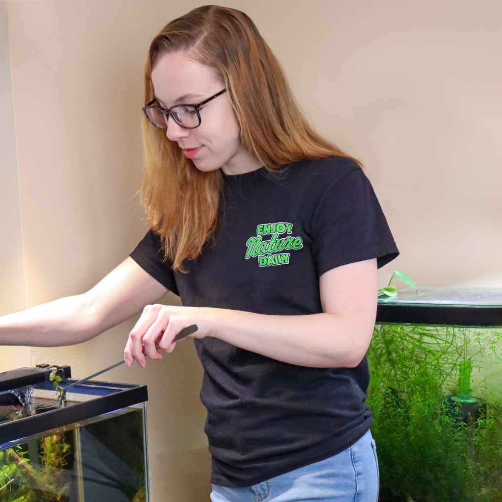 Nature-Inspired Daily Wear T-Shirt