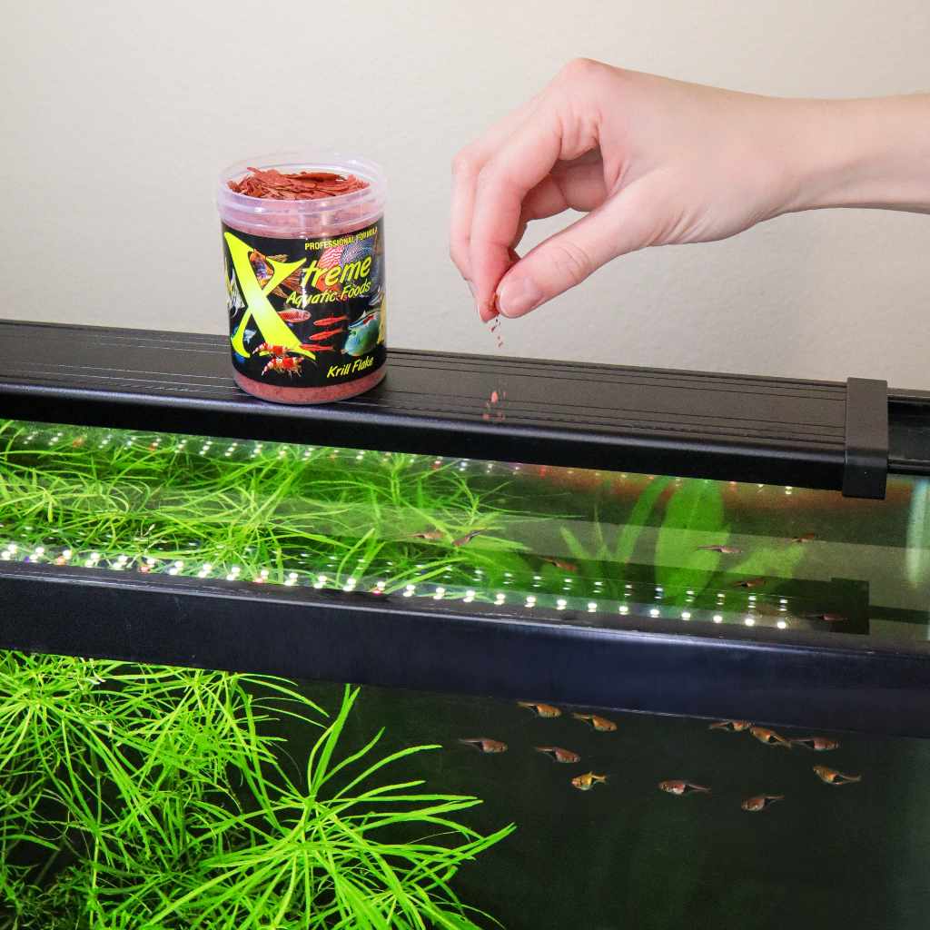 Premium Krill Flakes for Fish & Turtles