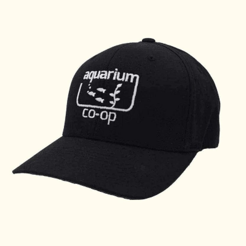 Aqua Co-Op Black Baseball Cap for Fish Enthusiasts