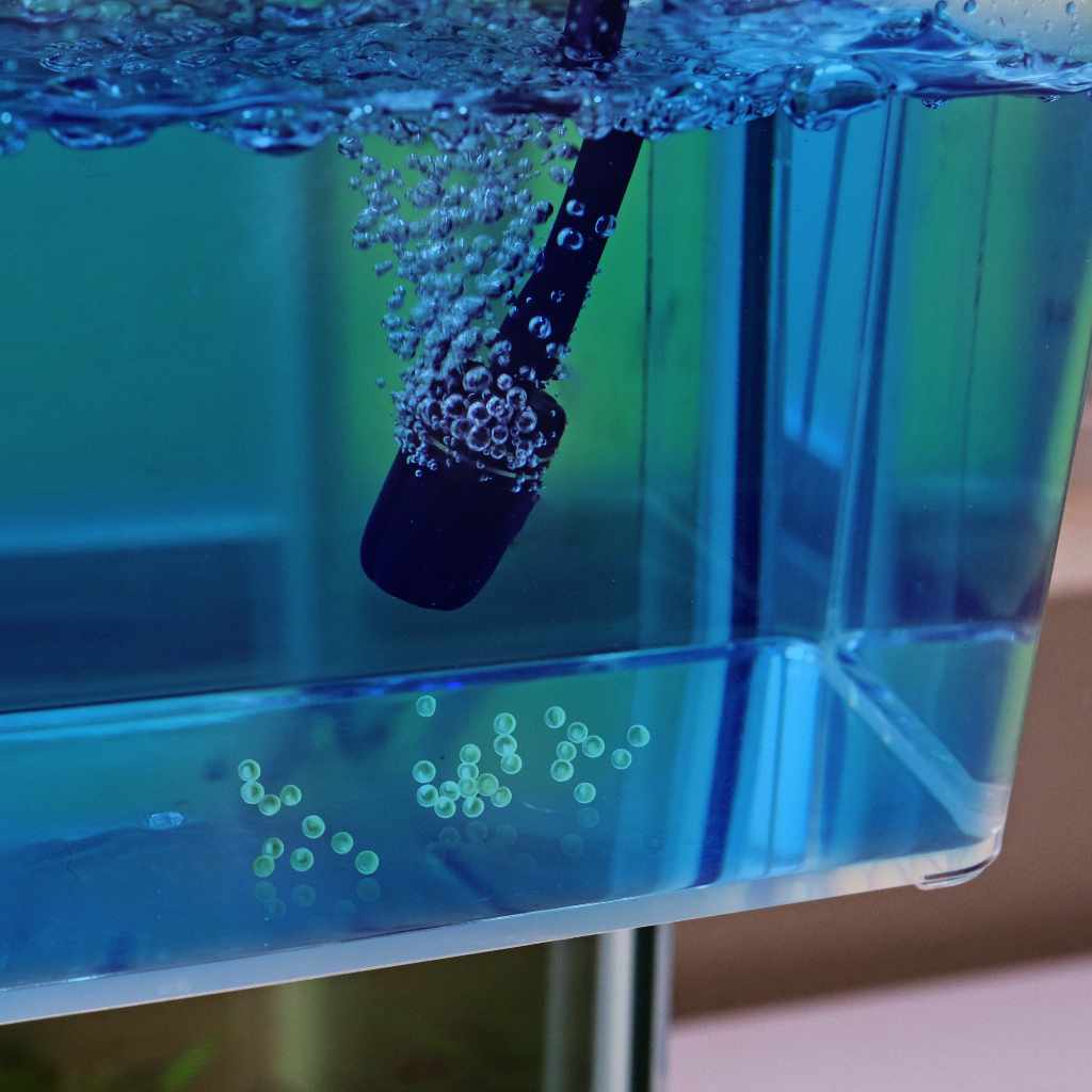 Methylene Blue Dye for Lab & Aquarium Use