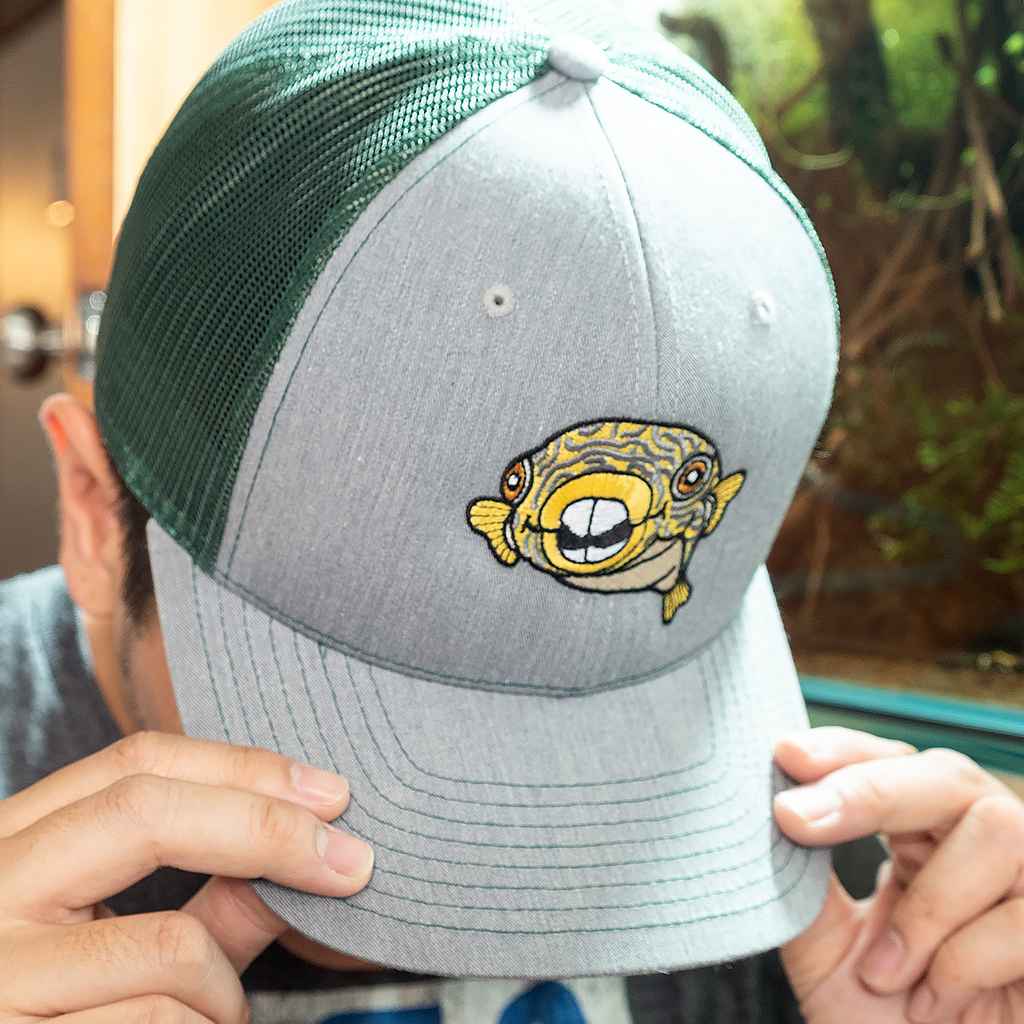Murphy Snapback Mesh Cap
