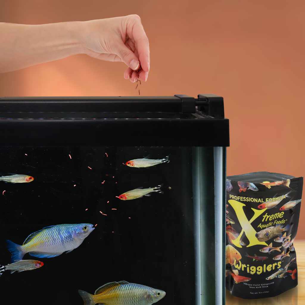 Xtreme Wrigglers Vibrating Fishing Lures