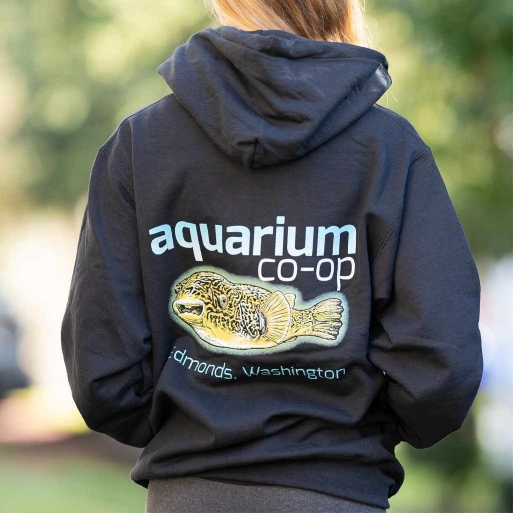 Stylish Mbu Puffer Hoodie for Winter