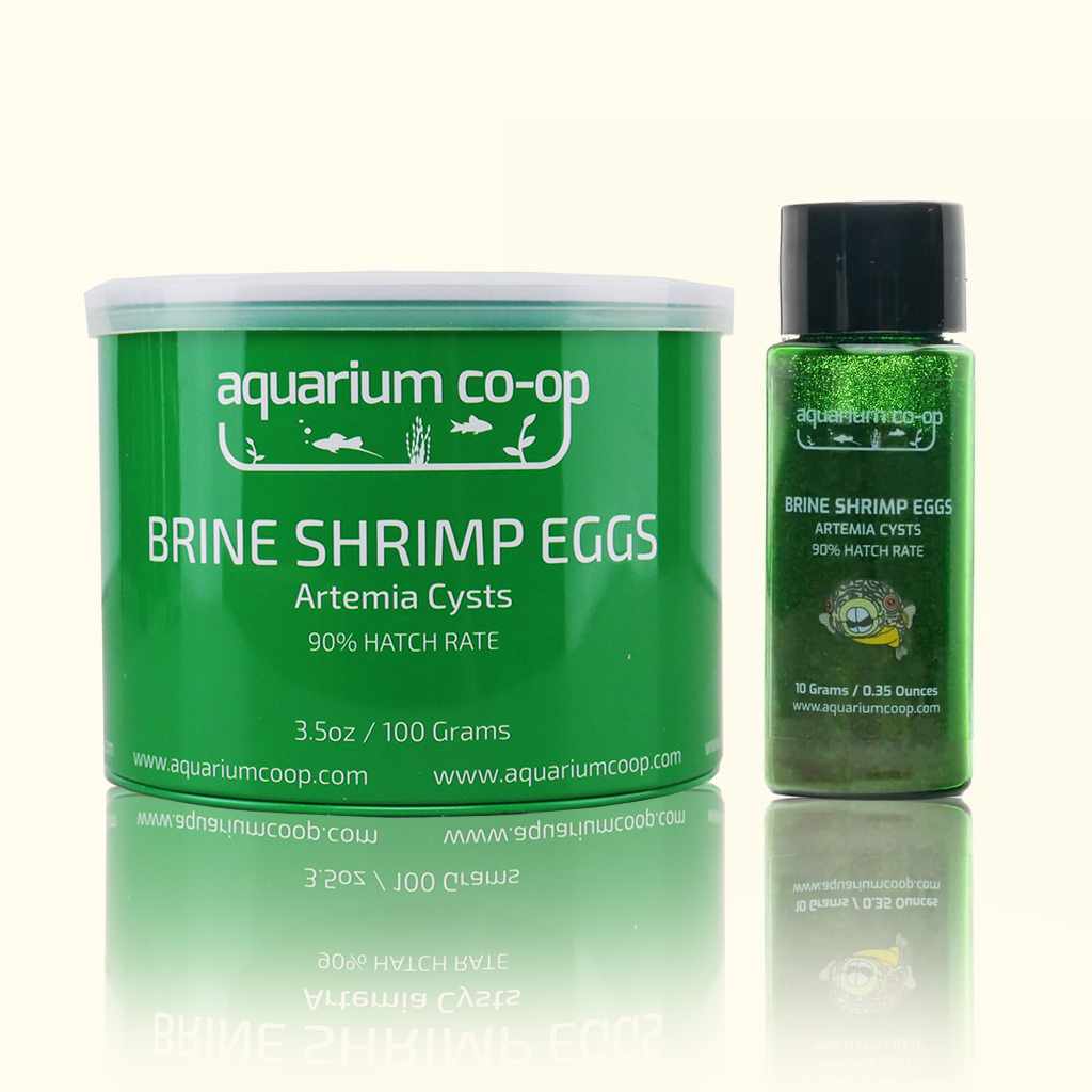 Premium Brine Shrimp Eggs for Aquariums