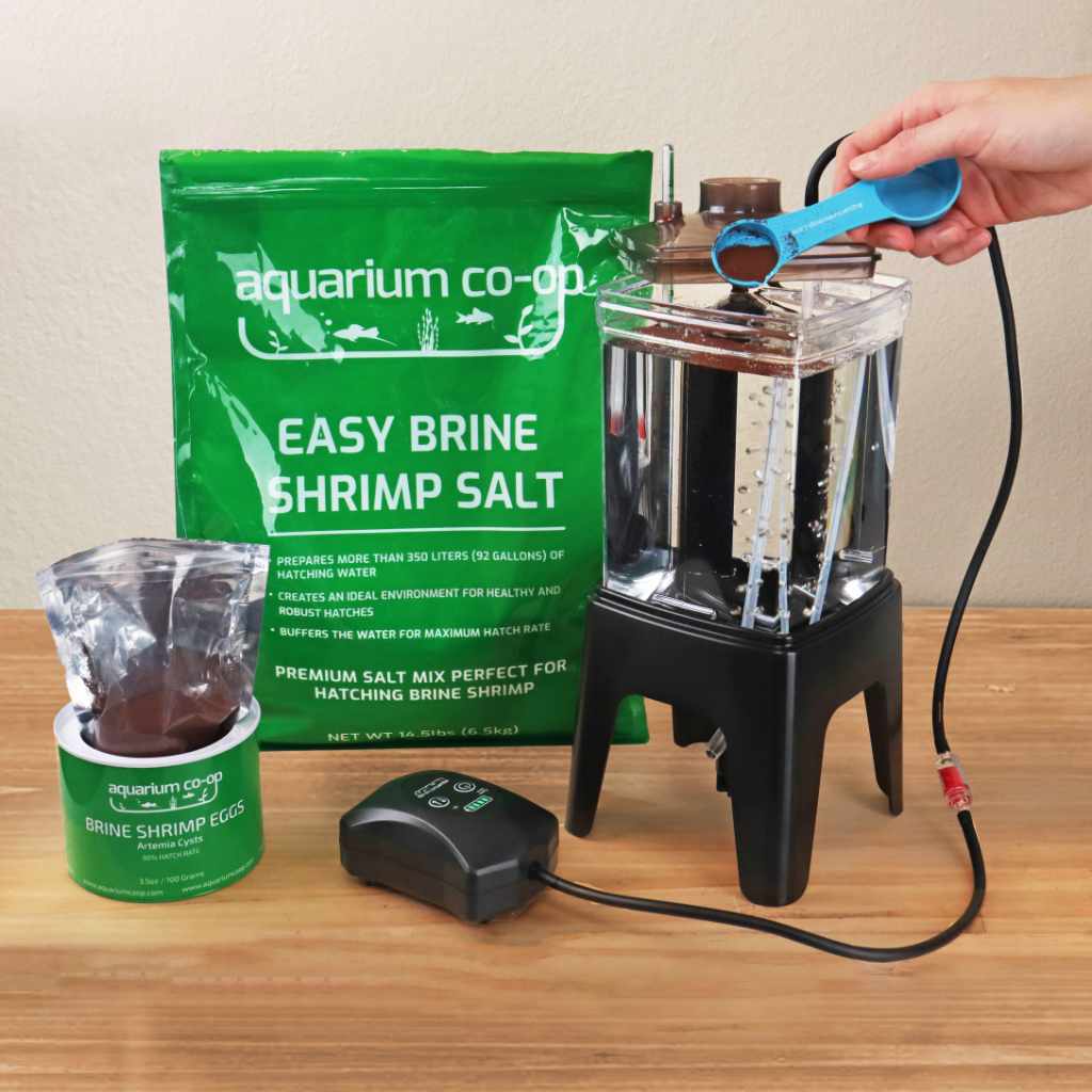 Premium Brine Shrimp Eggs for Aquariums