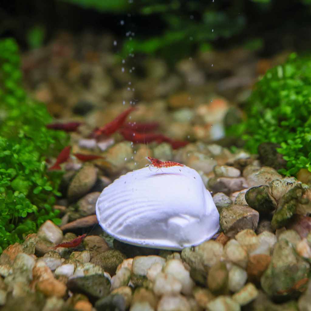 Wonder Shell Natural Mineral Supplement for Aquariums