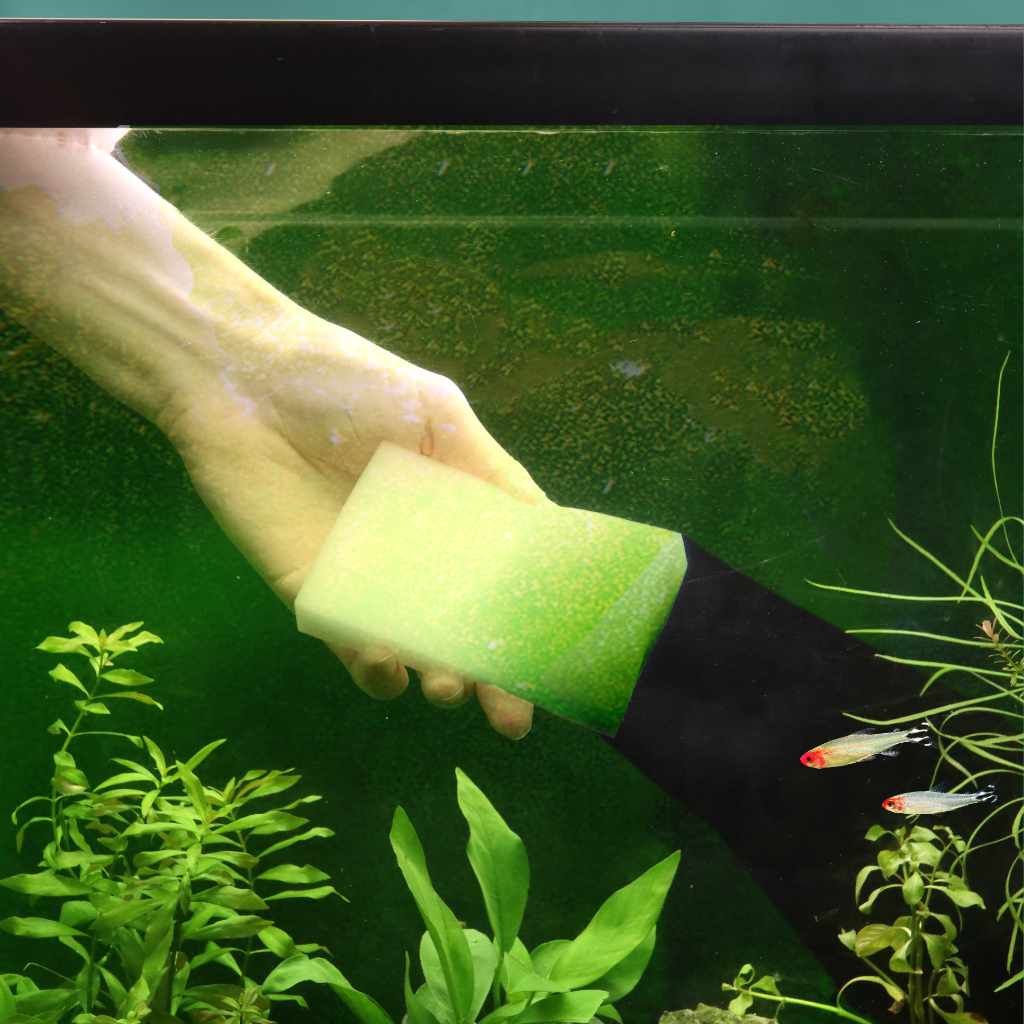 3-Pack Algae Scrubber for Aquarium Cleaning