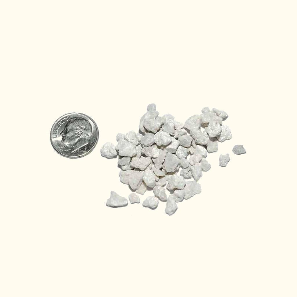 1LB Crushed Coral for Aquariums