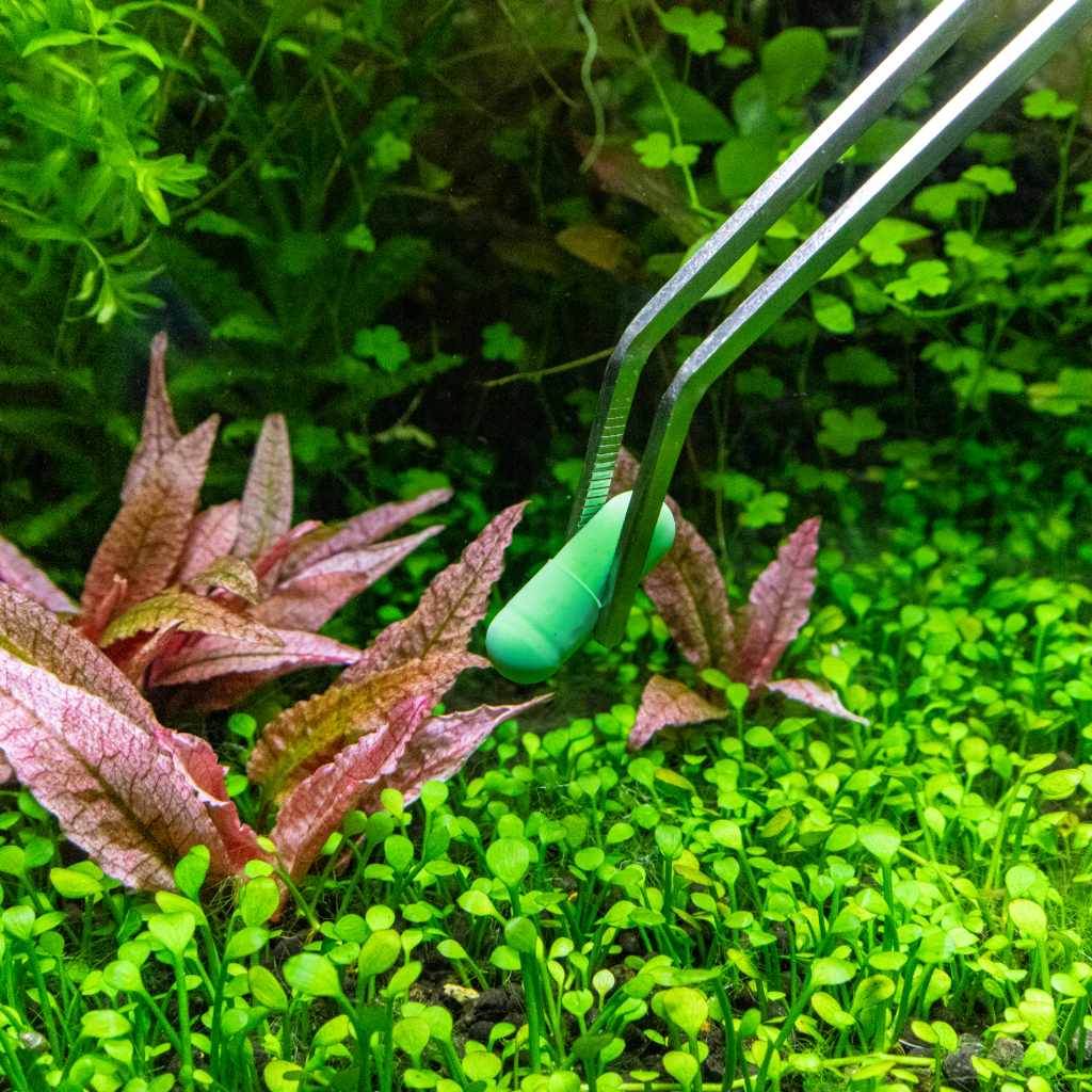 Nutrient Root Tabs for Healthy Plants