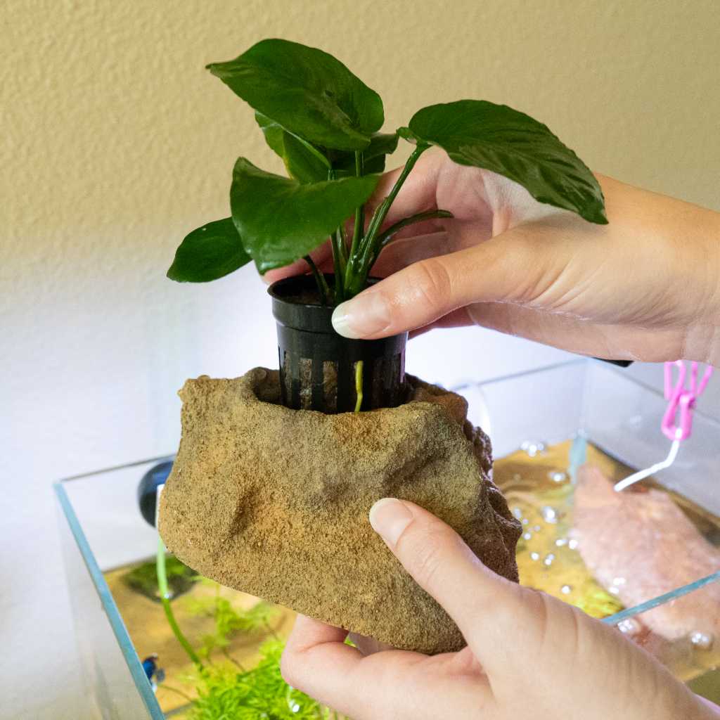 Compact Easy Planter for Indoor Plants