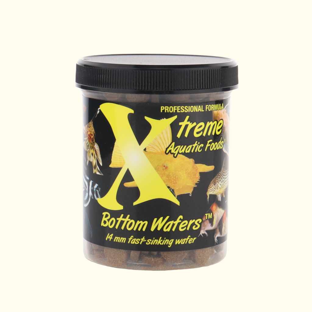Xtreme Wafer Snacks - Crunchy & Delicious